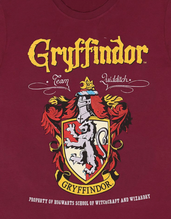 Gryffindor Oversized T-Shirt – - Image 4
